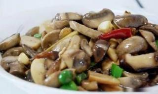 干蘑菇煮多久可以吃 蘑菇炒多久能熟